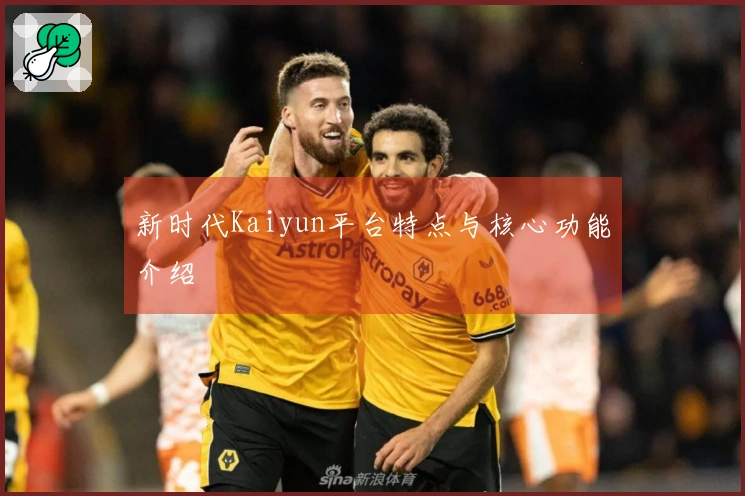 新时代Kaiyun平台特点与核心功能介绍