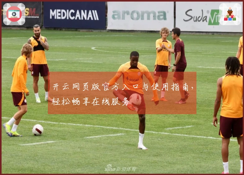 开云网页版官方入口与使用指南，轻松畅享在线服务